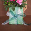 Green Organza gift wrap with Coolyroe label